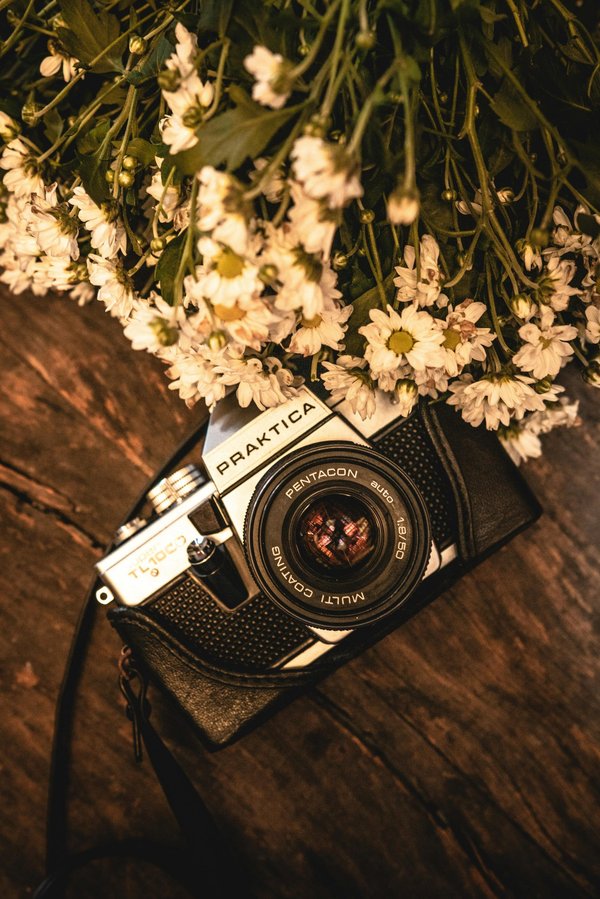 Découvrez les appareils photo vintage qui capturent vos souvenirs